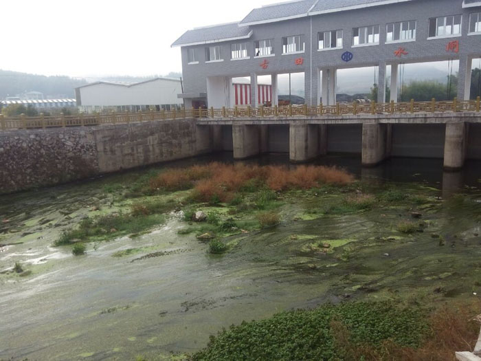 �Ϻ��ػ�̶�ӹ�����